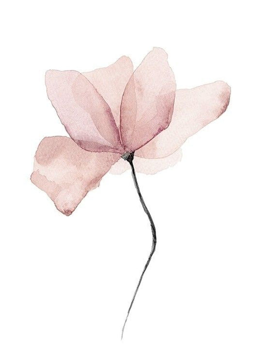 Workshop Botanisch Tekenen